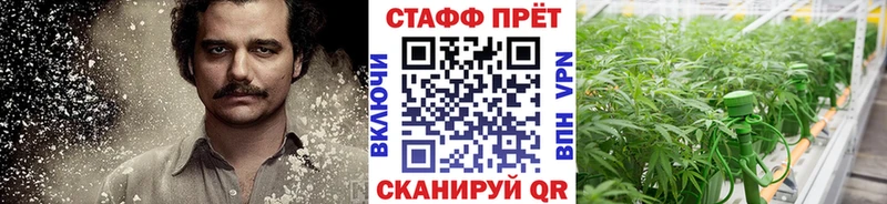 Что такое Дно Конопля  COCAIN  МДМА  МЕФ 