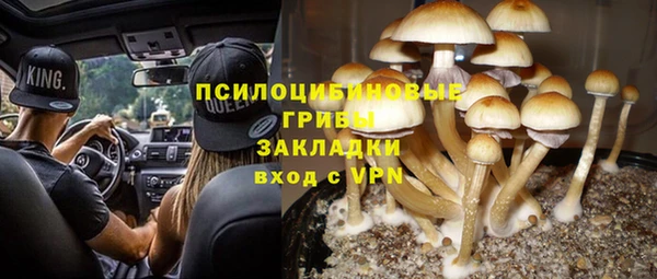 PSILOCYBIN Алзамай