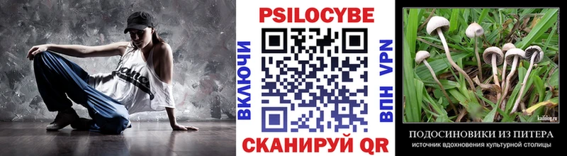закладки  Дно  Галлюциногенные грибы MAGIC MUSHROOMS 